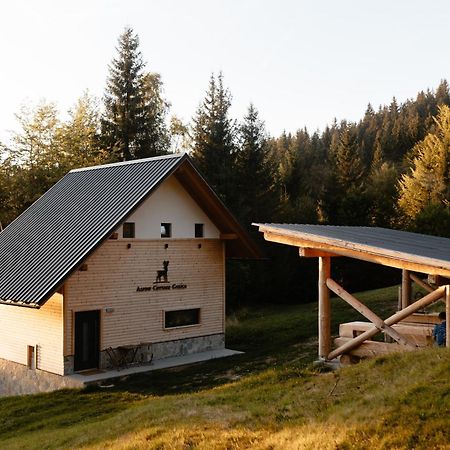 Alpine Cottage Golica Есенице Экстерьер фото