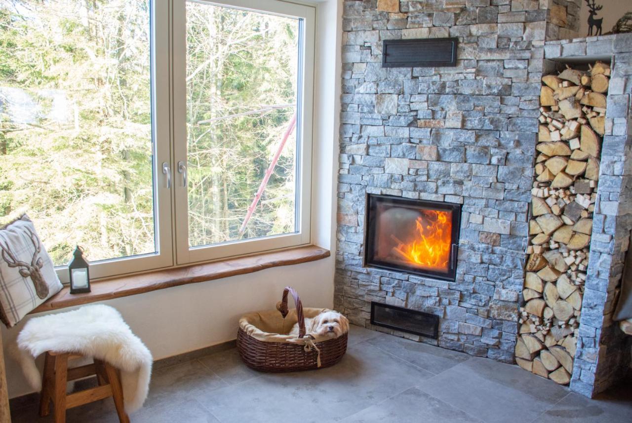 Alpine Cottage Golica Есенице Экстерьер фото