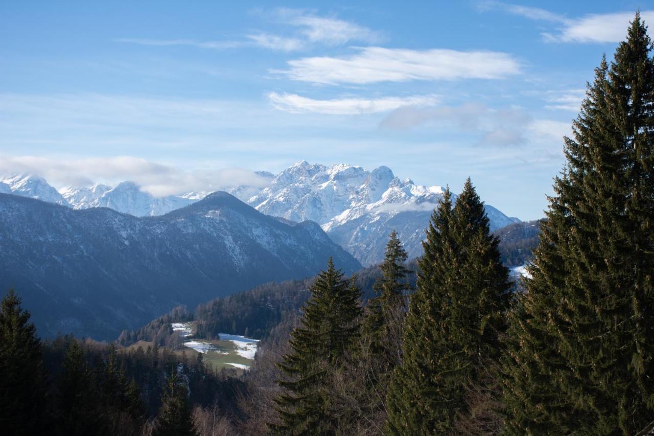 Alpine Cottage Golica Есенице Экстерьер фото