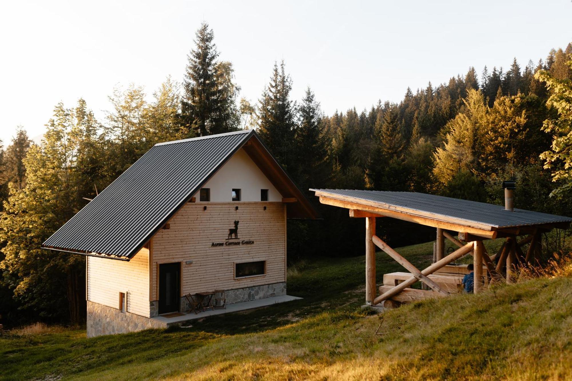 Alpine Cottage Golica Есенице Экстерьер фото